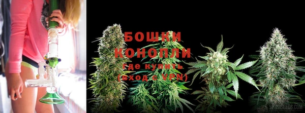 a pvp Володарск