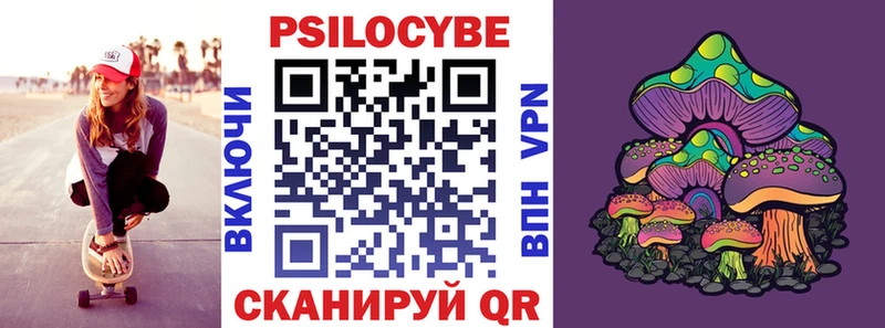 Псилоцибиновые грибы мухоморы  купить наркотики цена  Вышний Волочёк 